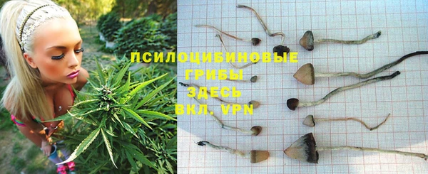 jwh Бугульма